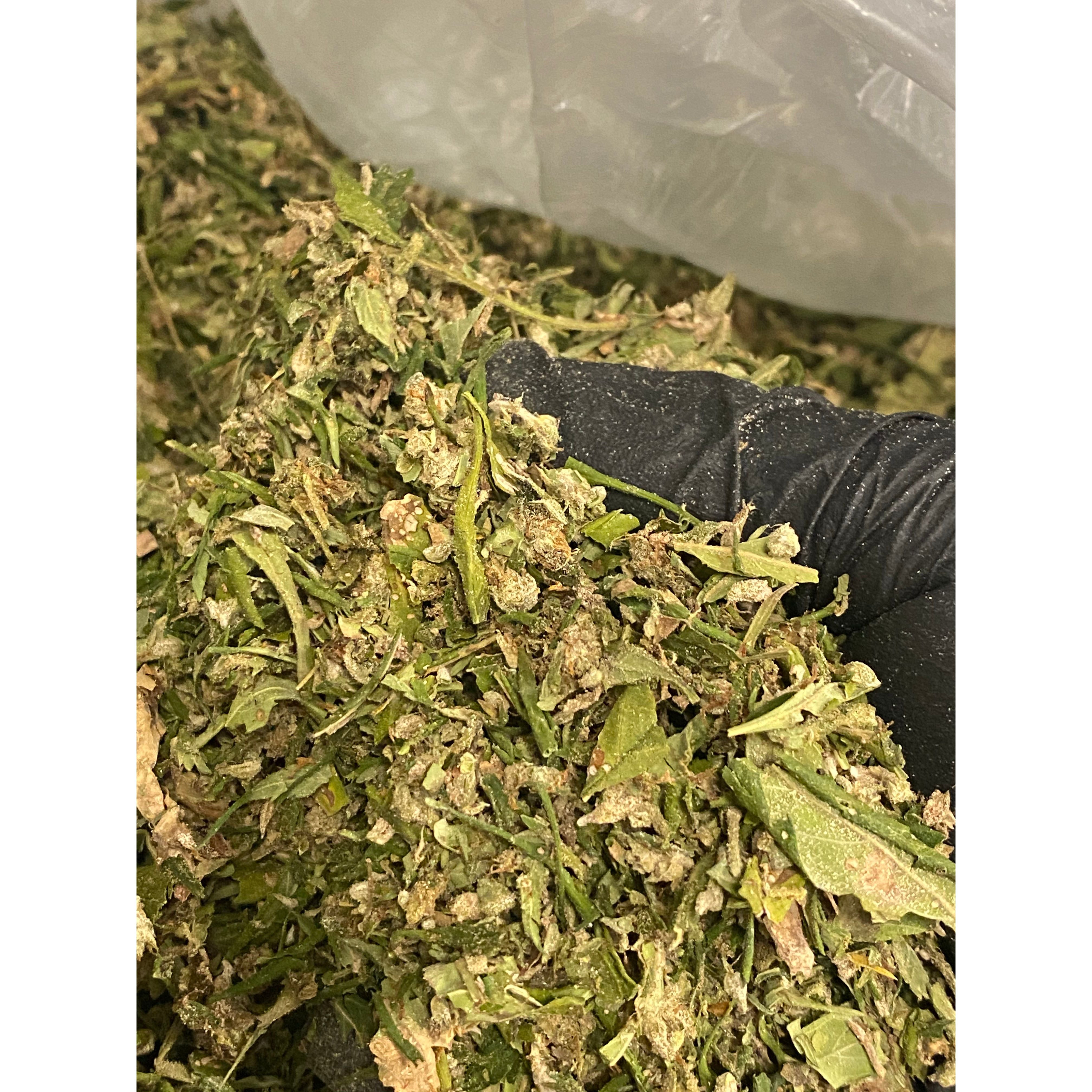 CBG Pound of Trim